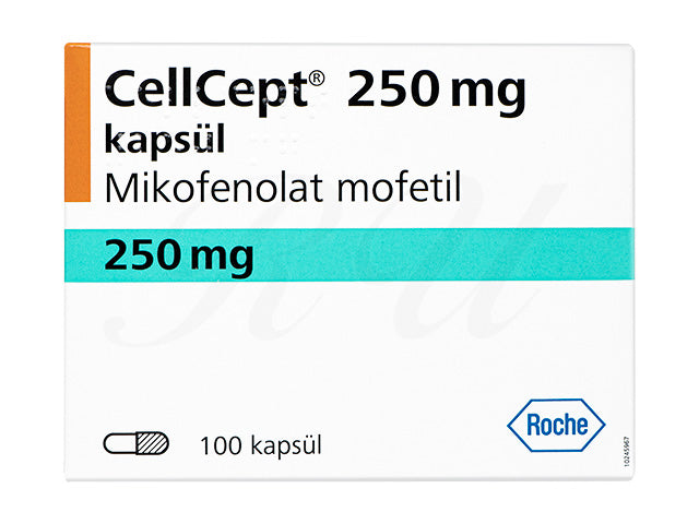 マイセプト250mg60錠