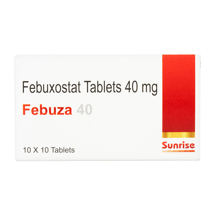 フェブザ40mg100錠