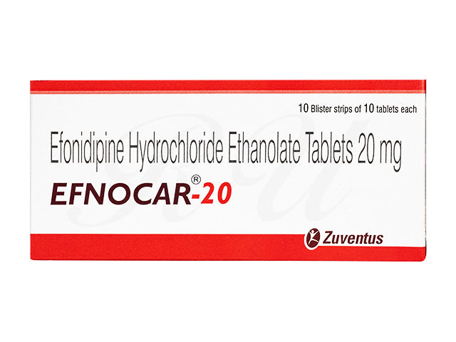 エフノカール20mg100錠