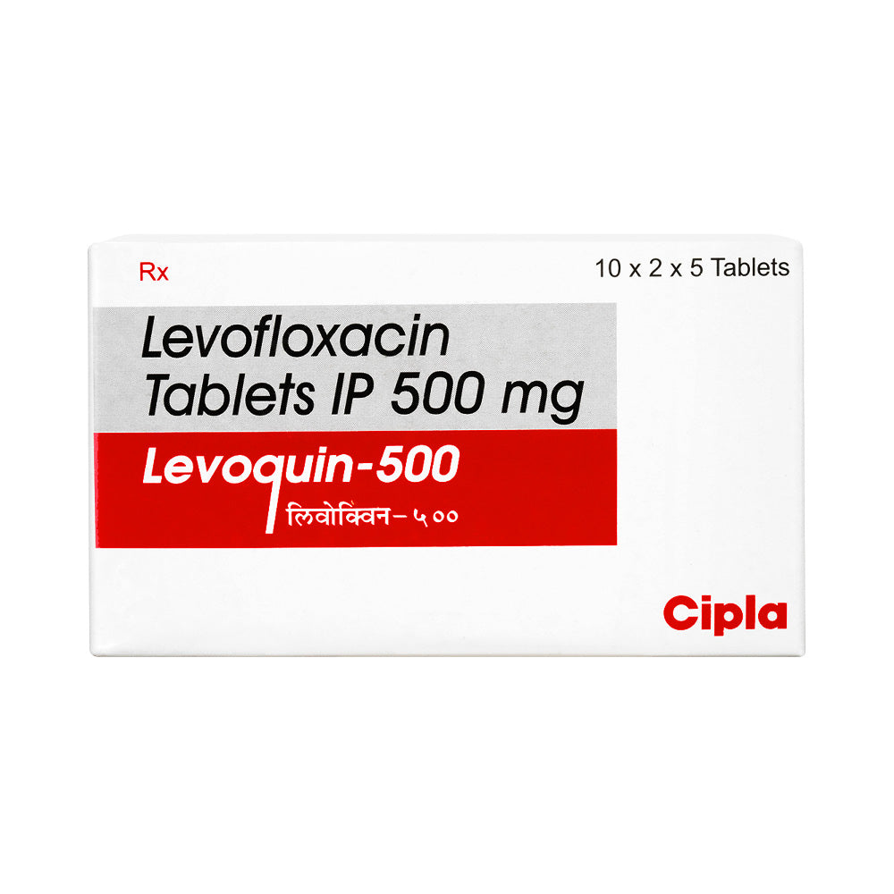 レボクイン500mg100錠
