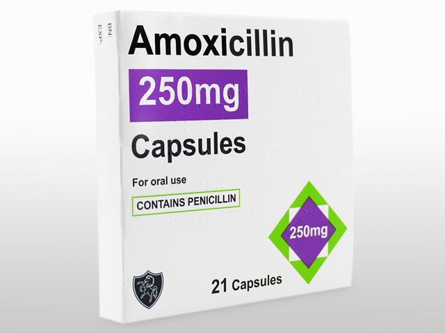 アモキシシリン250mg21錠