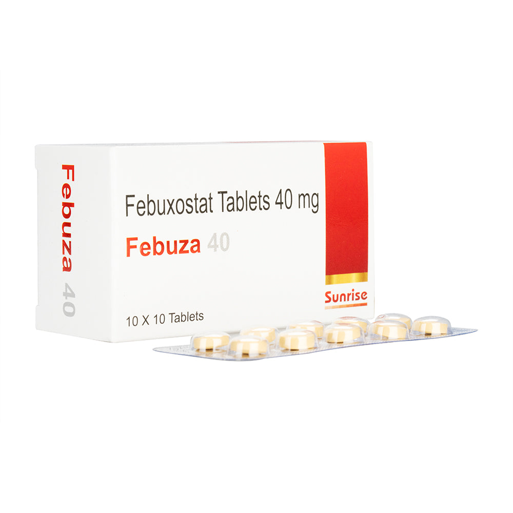 フェブザ40mg100錠