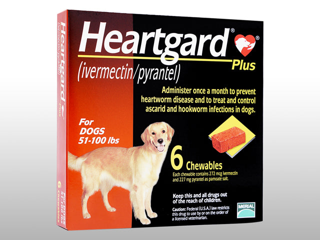 ハートガードプラス_大型犬用_HeartGardPlus(23kg～46kg用)6個