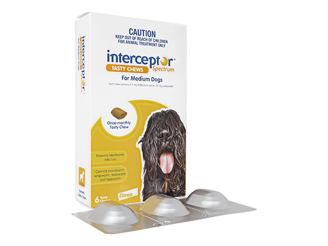 Interceptor[11-22kg中型犬用]6チュアブル