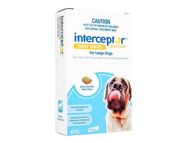 Interceptor[22-45kg大型犬用]6チュアブル