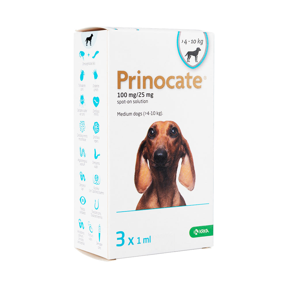 プリノケート・中型犬用(>4-10kg)1ml3本